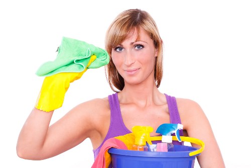 Carpet cleaning appointment preparation and service paperwork