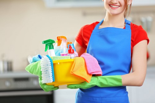 Cleaner working in a NW3 period home interior