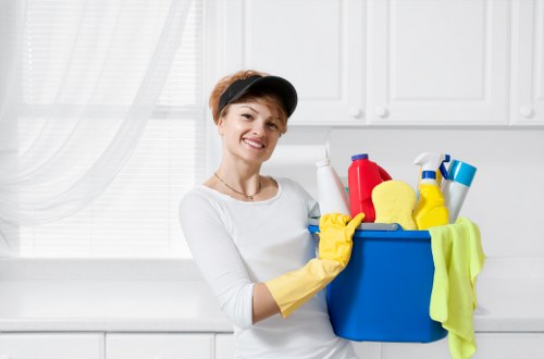 Professional carpet cleaning process with cleaning equipment