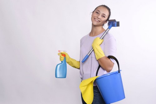 Professional cleaner in a Hampstead area property