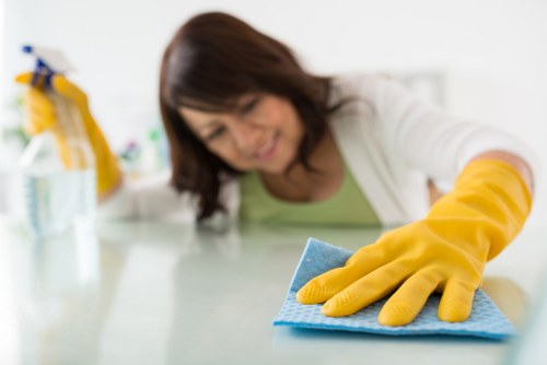 Kitchen and bathroom one off cleaning for a NW3 residence