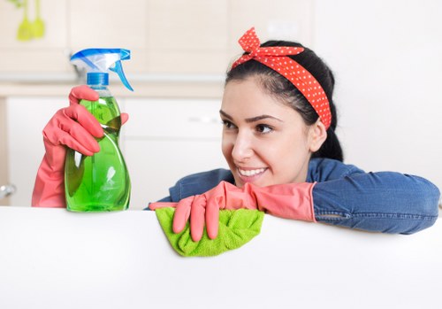 Professional home cleaning in a Hampstead property